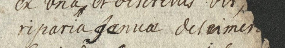 Détail manuscrit agrandi : le mot « deſcimer[iis] » qui suit « riparia Januae »