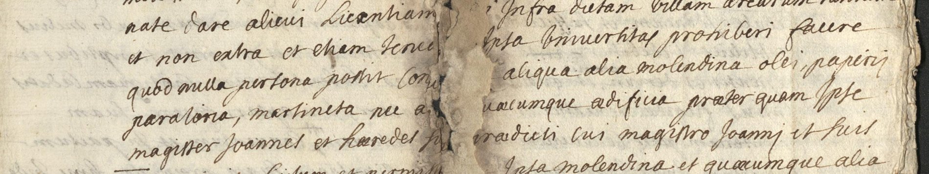 Détail manuscrit de la clause : « quod nulla persona possit construere… aliqua alia molendina olei, papirij, paratoria, martineta… praeterquam ipse magister Joannes »