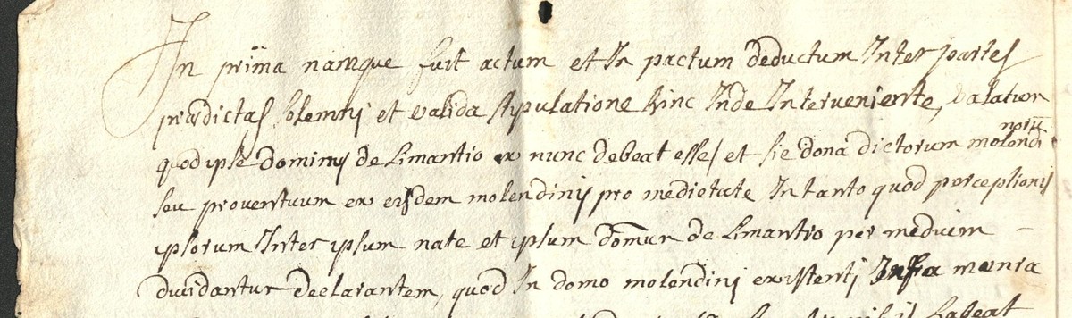Détail manuscrit : « ipse dominus de Limartio ex nunc debeat esse... pro medietate »