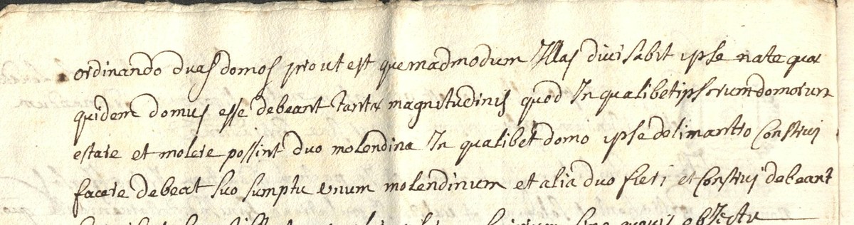 Détail manuscrit : « duas domos... quod In qualibet ipsarum domorum... possint duo molendina »