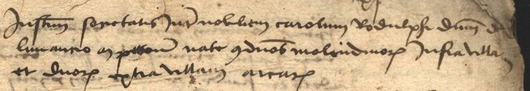 Détail manuscrit : rubrique « Jnstrumentum societatis inter nobilem carolum Rodulph dominum de limanno ac petrum nato »