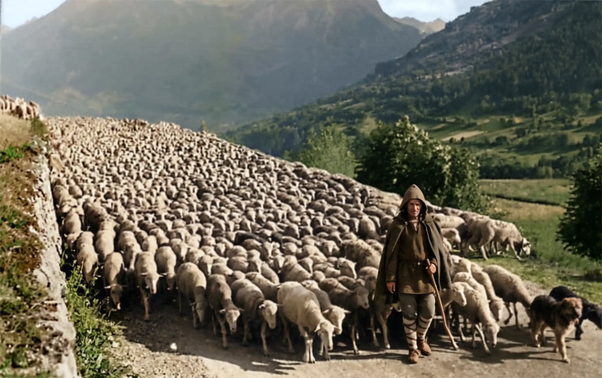 Un immense troupeau de moutons remplit un chemin de montagne bordé d'un muret, au fond d'une vallée verte. Au premier plan marche un berger en cape à capuchon brune, un bâton à la main, suivi de deux chiens.